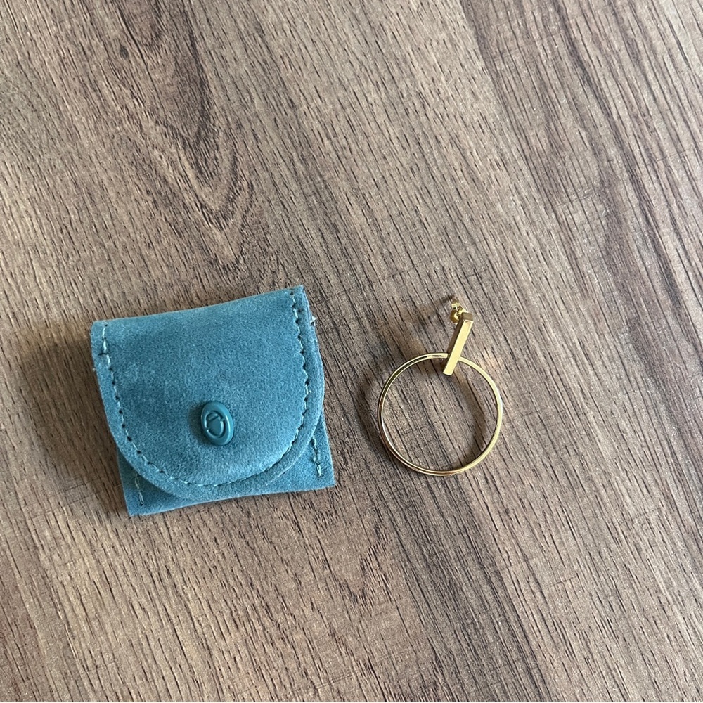 Aurate Gold Vermeil Circle Single Earring